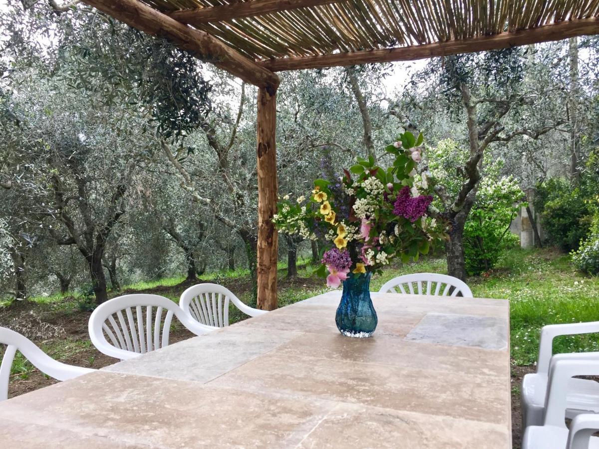 Agriturismo Fattoria Celle Figline Valdarno Bagian luar foto