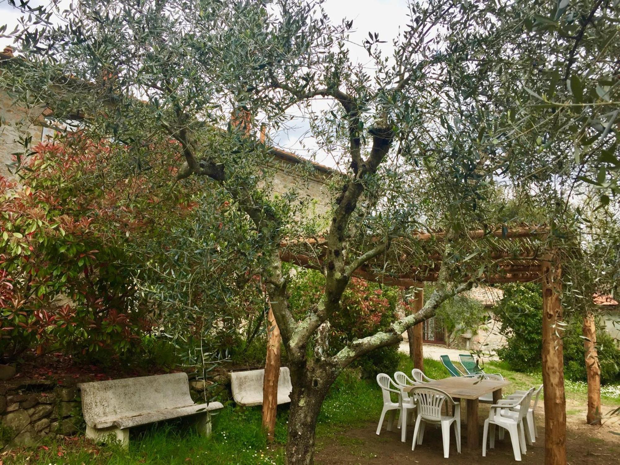 Agriturismo Fattoria Celle Figline Valdarno Ruang foto