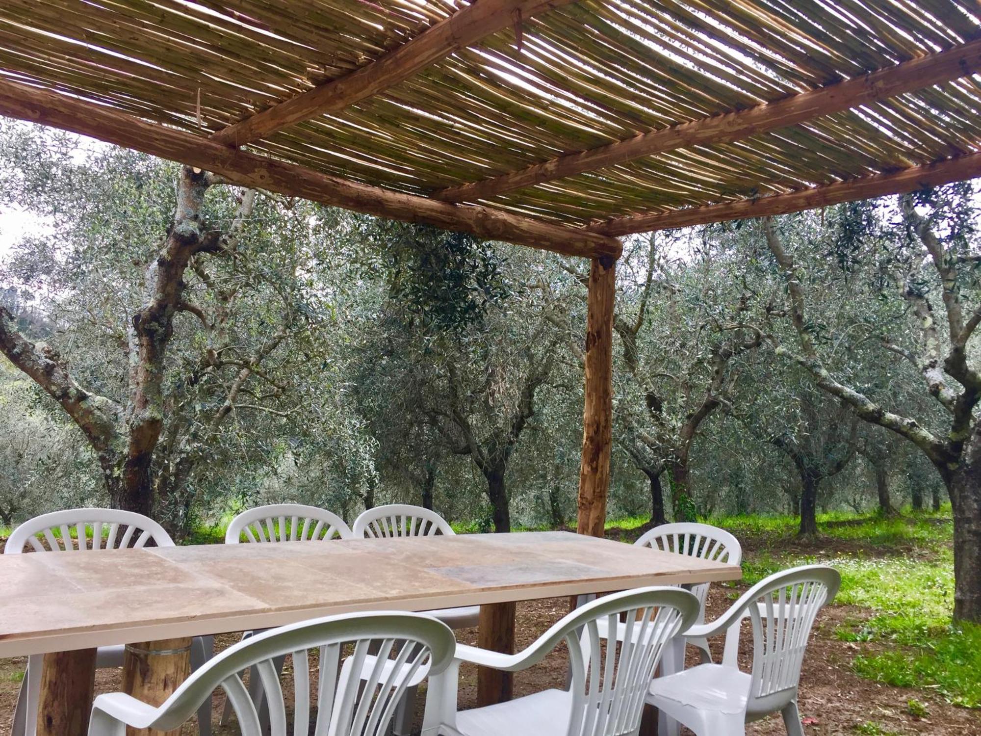 Agriturismo Fattoria Celle Figline Valdarno Ruang foto