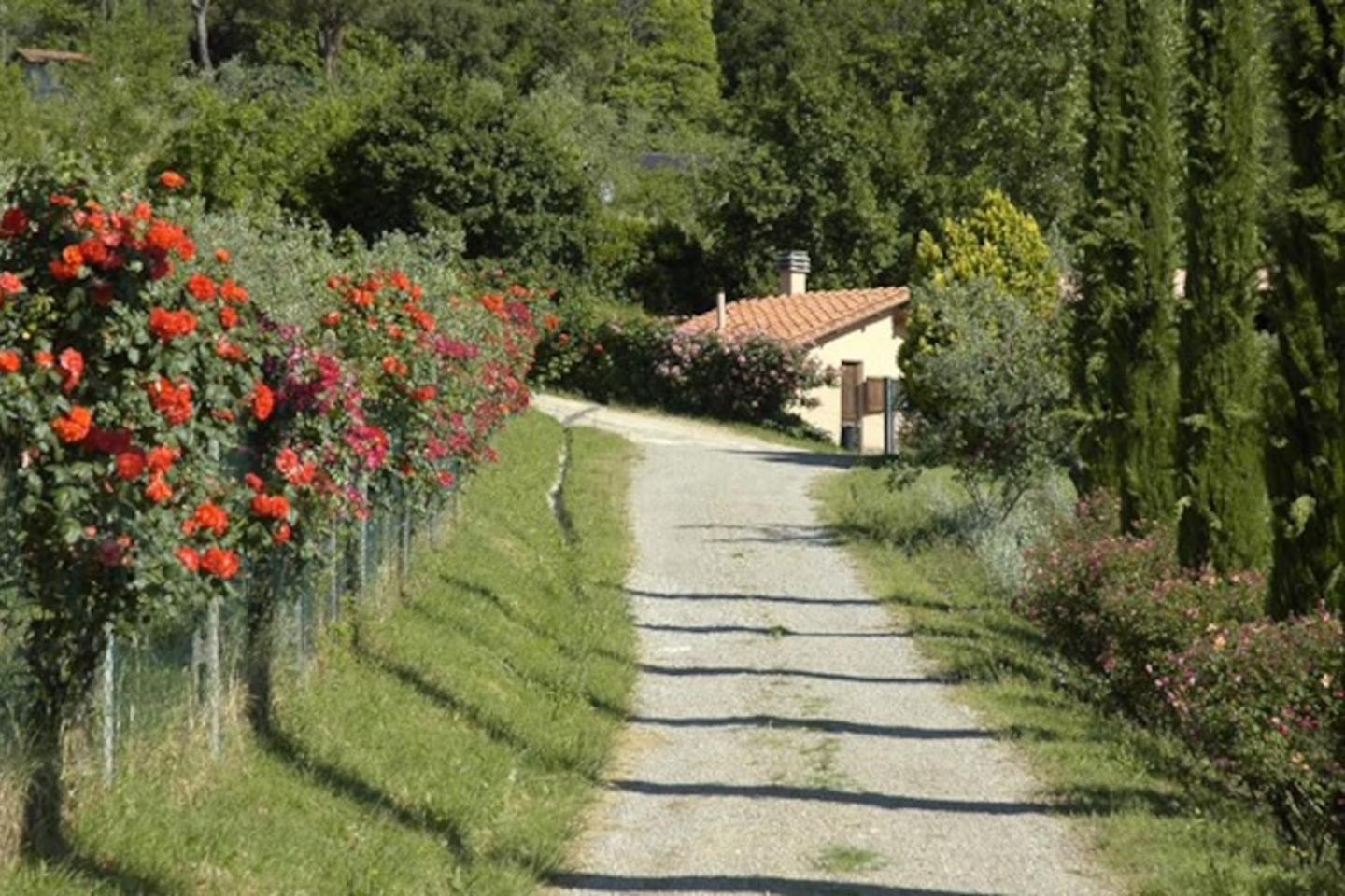 Agriturismo Fattoria Celle Figline Valdarno Ruang foto
